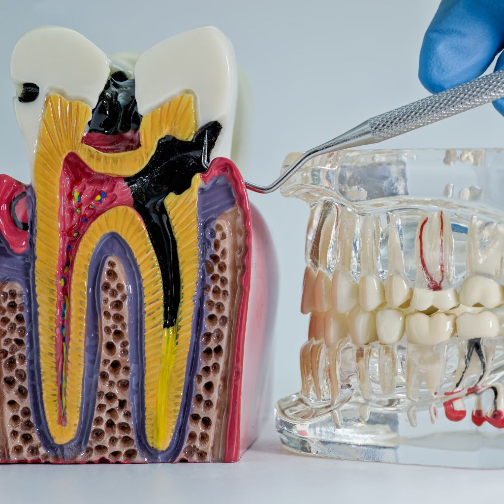 Dentist examining a patient with a dental scanner